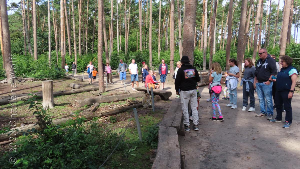 Menschentraube im Affenwald